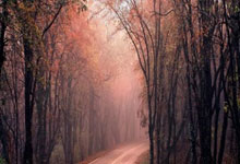 闖紅燈多久可以查，當天可以看到違章記錄嗎 闖紅燈后多久能查詢到